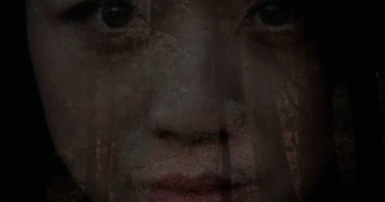 The Wind, One Brilliant Day